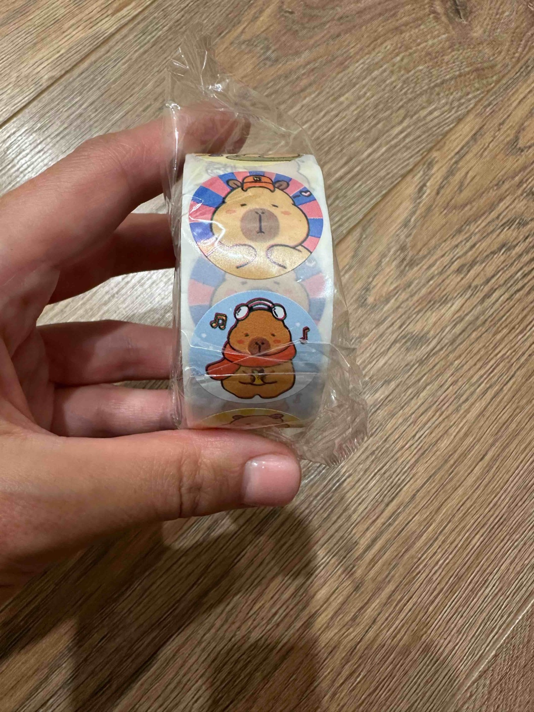 Наклейки Рулон Capybara 500