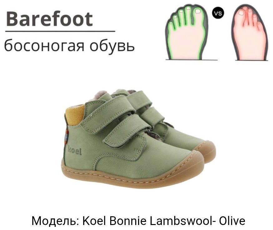 оливковый