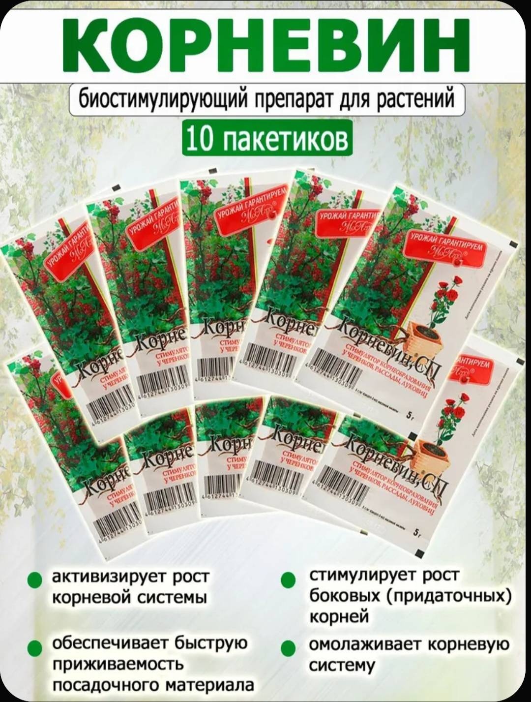 Корневин