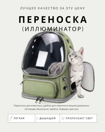 Переноска зеленый, прозрачный