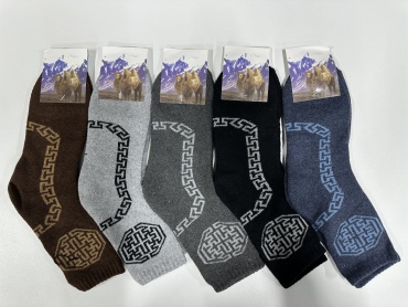 Носки CAMEL 10 пар мультиколор 41-44