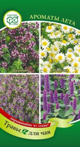 Гавриш душица Ароматы лета