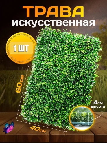 Травянистое растение самшит 4 см, 30350312_897441674
