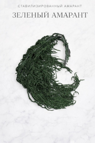 Суккуленты GreenPlant 50 см