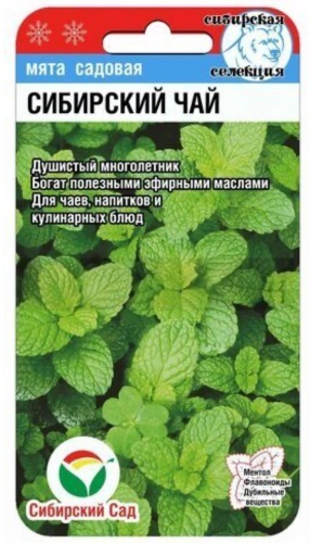 Сибирский сад мята Сибирский чай