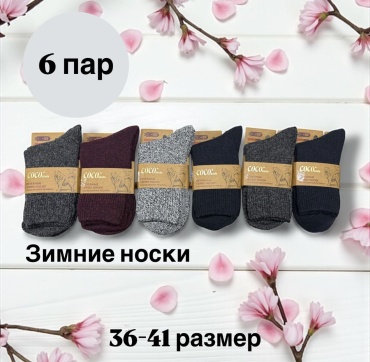 Носки SPEED WIN 6 пар мультиколор 36-41
