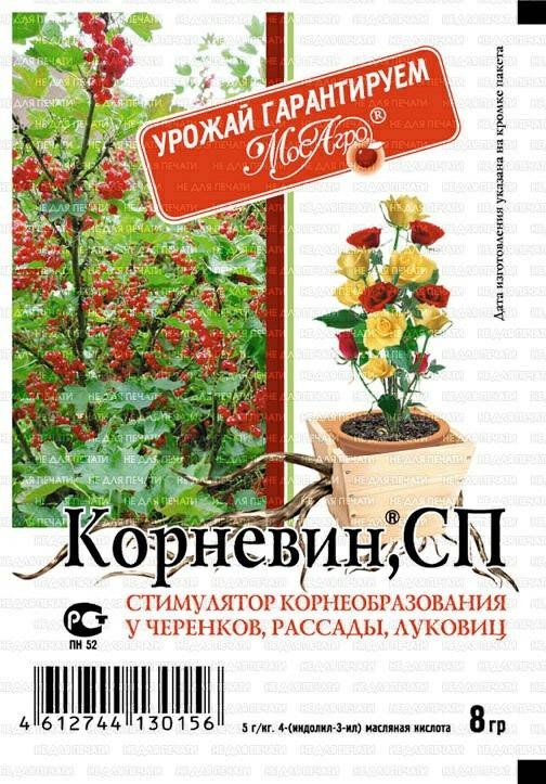 Корневин