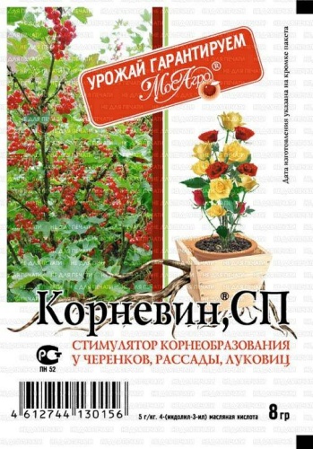 Корневин