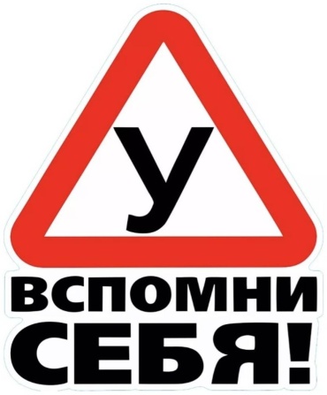 Наклейка 879670753 17x14 см