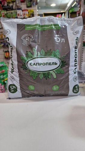 Сап