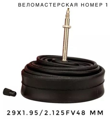 3381007_528432926