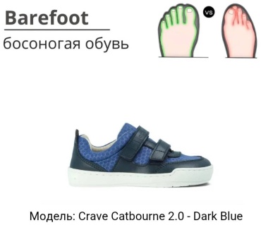 Кроссовки Crave Barefoot Catbourne темно-синий