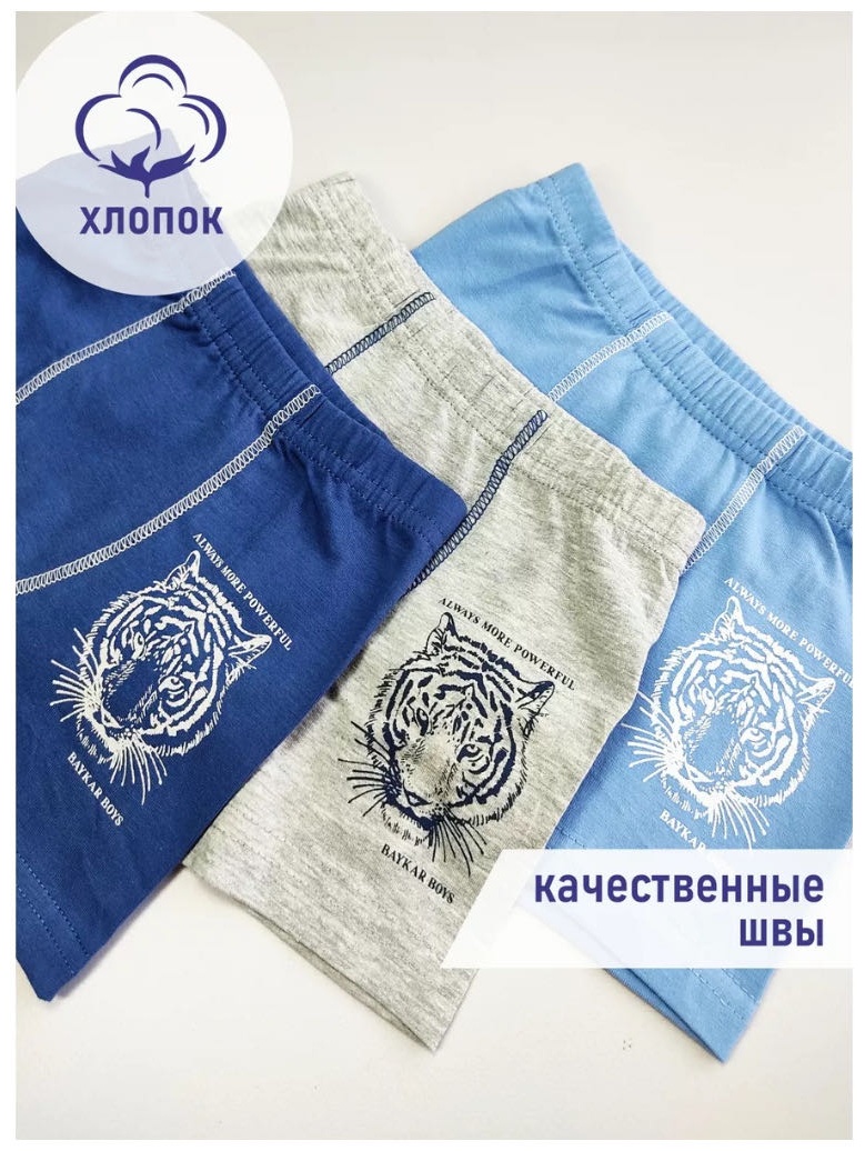 Боксеры мультиколор