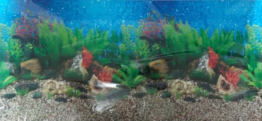 AQUALIFE ALB-40102 пленочный фон 100x40