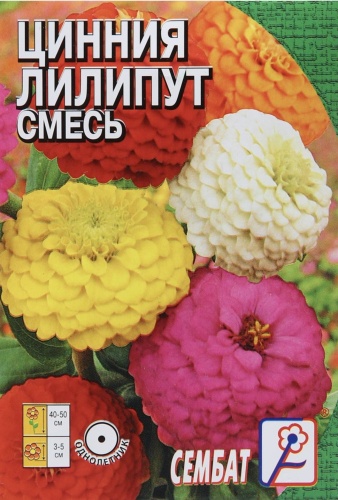 Сембат цинния ЛИЛИПУТ СМЕСЬ ЦИНИЯ