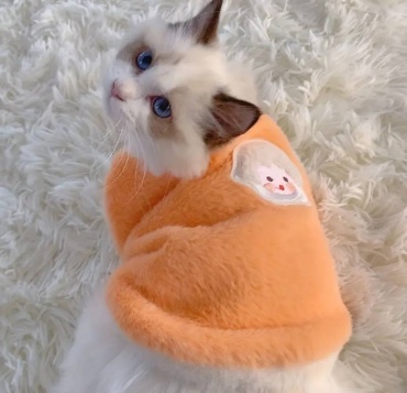 Happy Pet свитер 9211 белый, оранжевый S