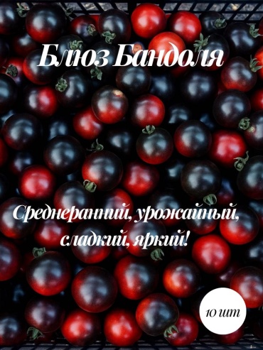 Mevsim томат Коллекционные семена Блюз Бандоля