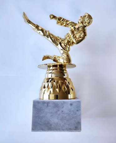 Golden Cup трофей Карате выпад стандарт