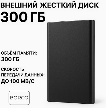 BORCO F800 300 Гб