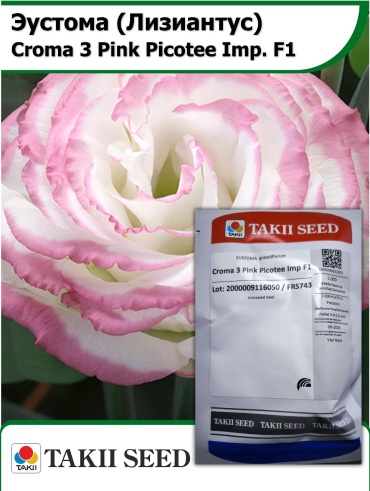 Эустома Croma 3 Pink Picotee Imp.F1 1000 семян Takii Seed