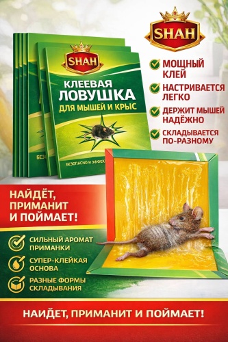 Мышеловка 454909998 от грызунов