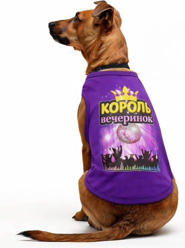 Пижон майка Король вечеринок фиолетовый L
