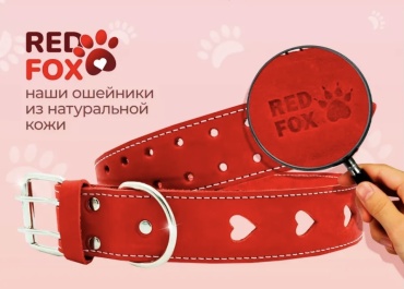 RedFox ошейник для постоянной носки S красный