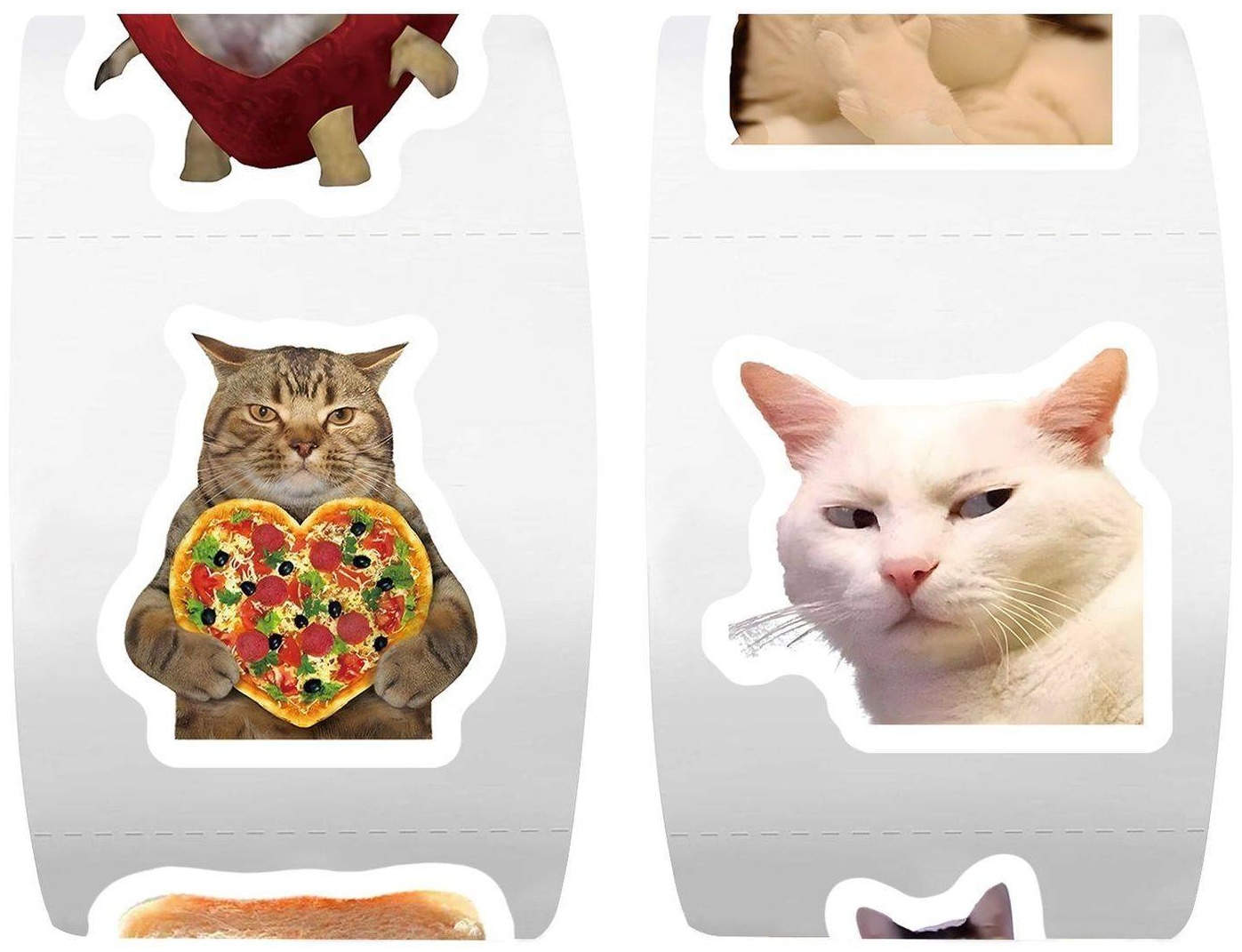Коты мемы