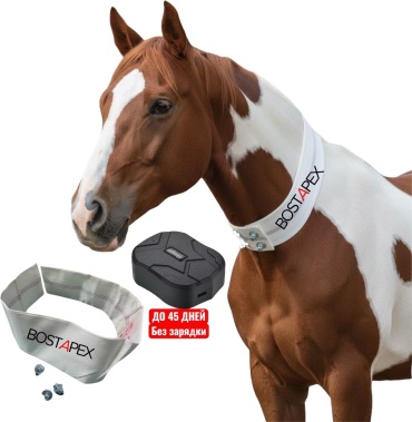 BOSTAPEX GPS-трекер, вид животного: лошади, КРС