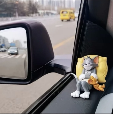 Аксессуар в машину