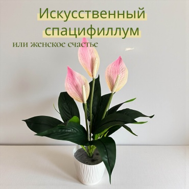 МИА спатифилум 45 см, Fic004