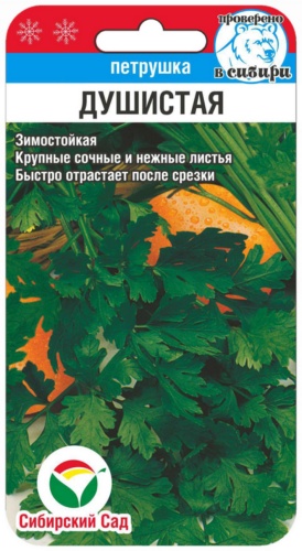 Сибирский сад петрушка Душистая