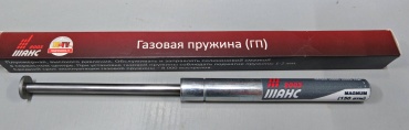 Поршень 1000X_1000S_EDGE