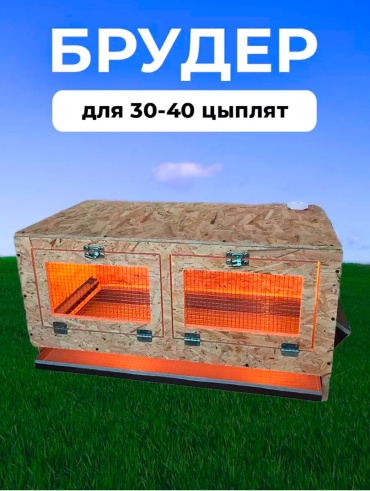 733838816, вместимость 40 цыплят