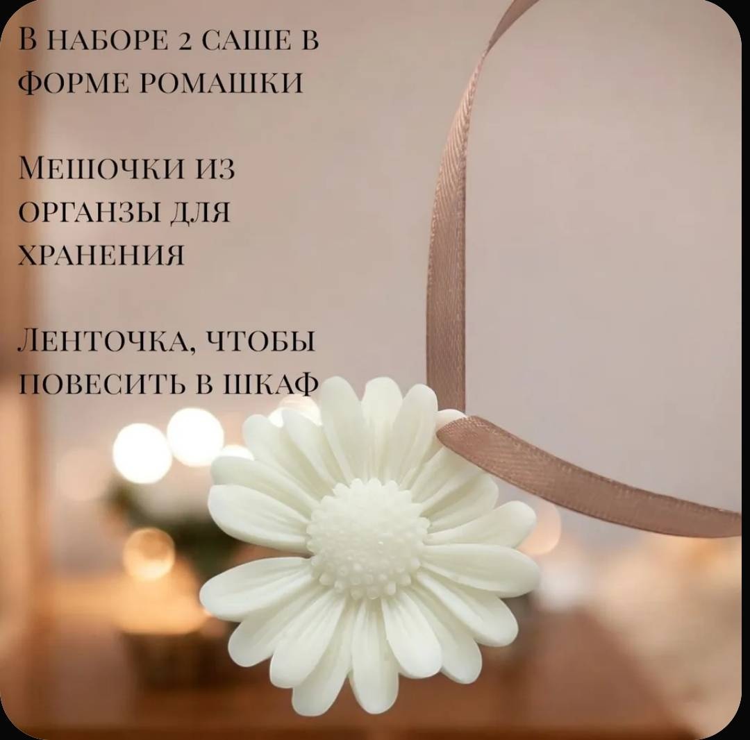 Саше Ромашка