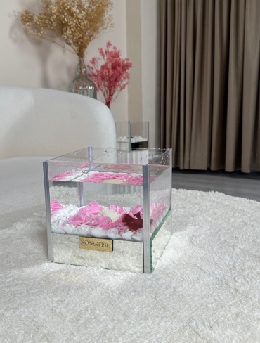 Аквариум rose and fish