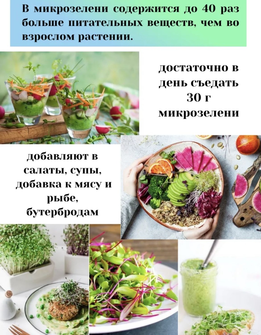 Набор для выращивания Сеем Вместе Набор микрозелени «Иммунитет»