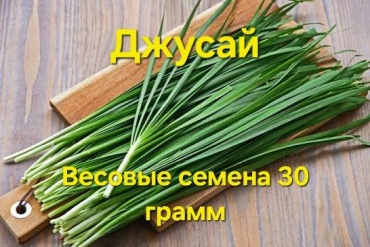 Лук ДЖУСАЙ ( весовые семена 30 грамм )