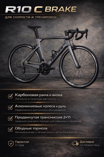 Велосипед Twitter R10 (C-brake) 2025 24 дюйма серый