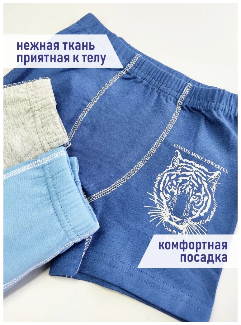 Боксеры синий, мультиколор
