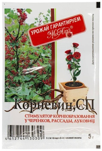 Корневин СП