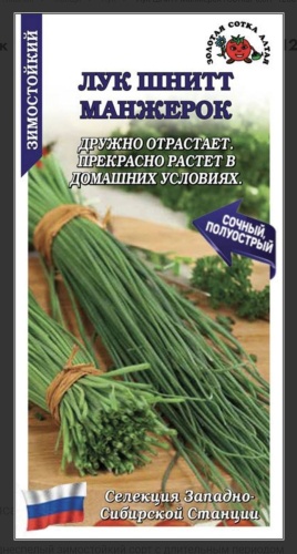 Золотая сотка Алтая лук Шнитт Манжерок