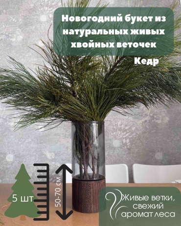 Alestra Натуральная ветка кедра 55 см
