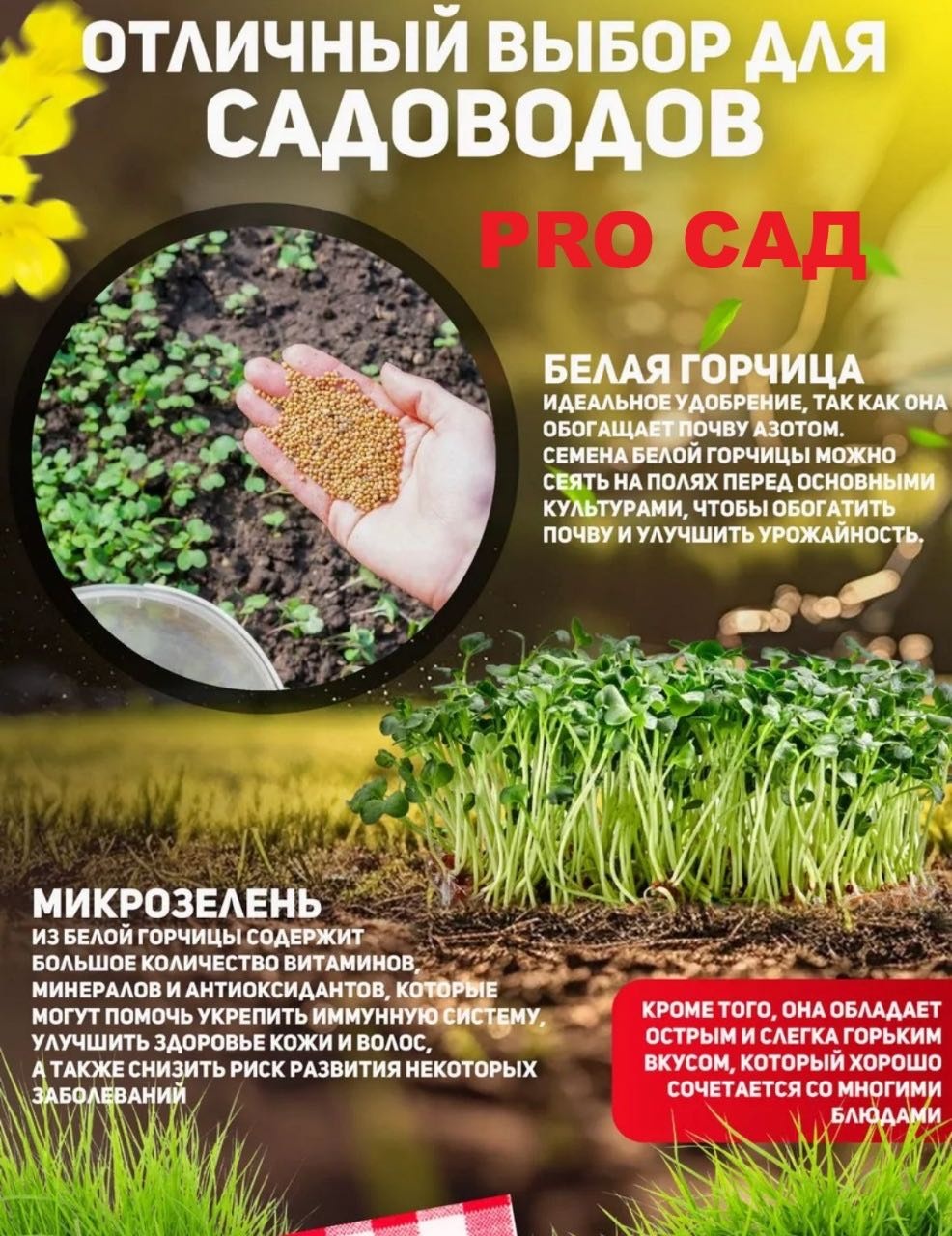 Горчица 5000 г