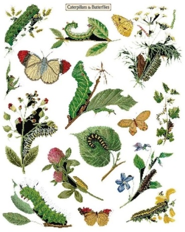 Набор для вышивания "Caterpillars and Butterflies" 45х60 см