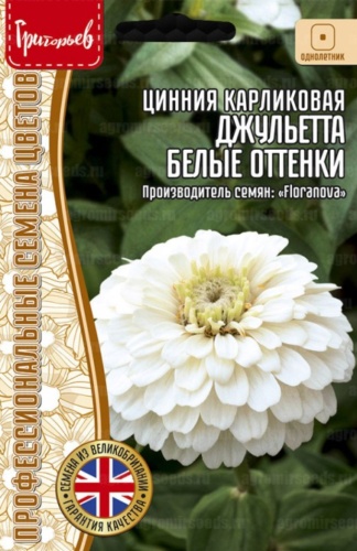 Григорьев цинния Juilette White Shades