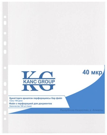 Папка-вкладыш Kanc-Group Standart, А4, прозрачный
