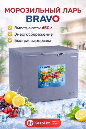Морозильник Bravo BF-450S 450 л серый