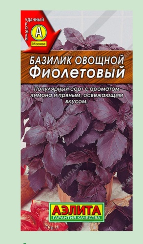 Аэлита базилик Овощной фиолетовый