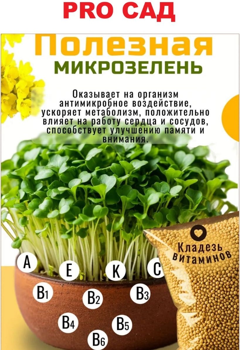 Горчица 5000 г